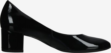 Högl Pumps in Black