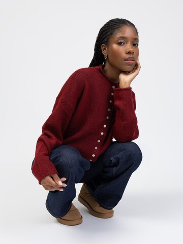 BROKE + SCHÖN Knit Cardigan 'Strickjacke mit Stehkragen' in Red