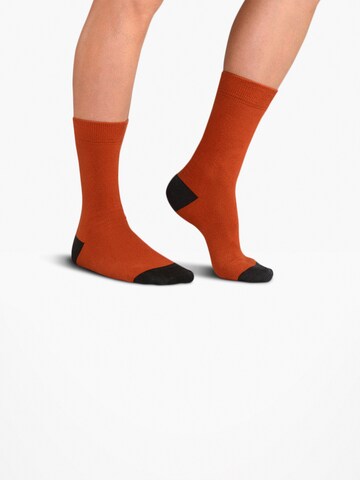 Chaussettes 'SHINRIN EDITION Gift box 4 Pack Unisex' The Arctic Bay en mélange de couleurs