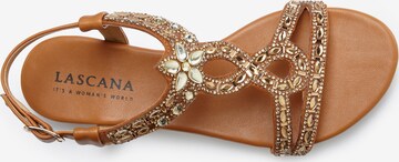 LASCANA Sandalen met riem in Bruin