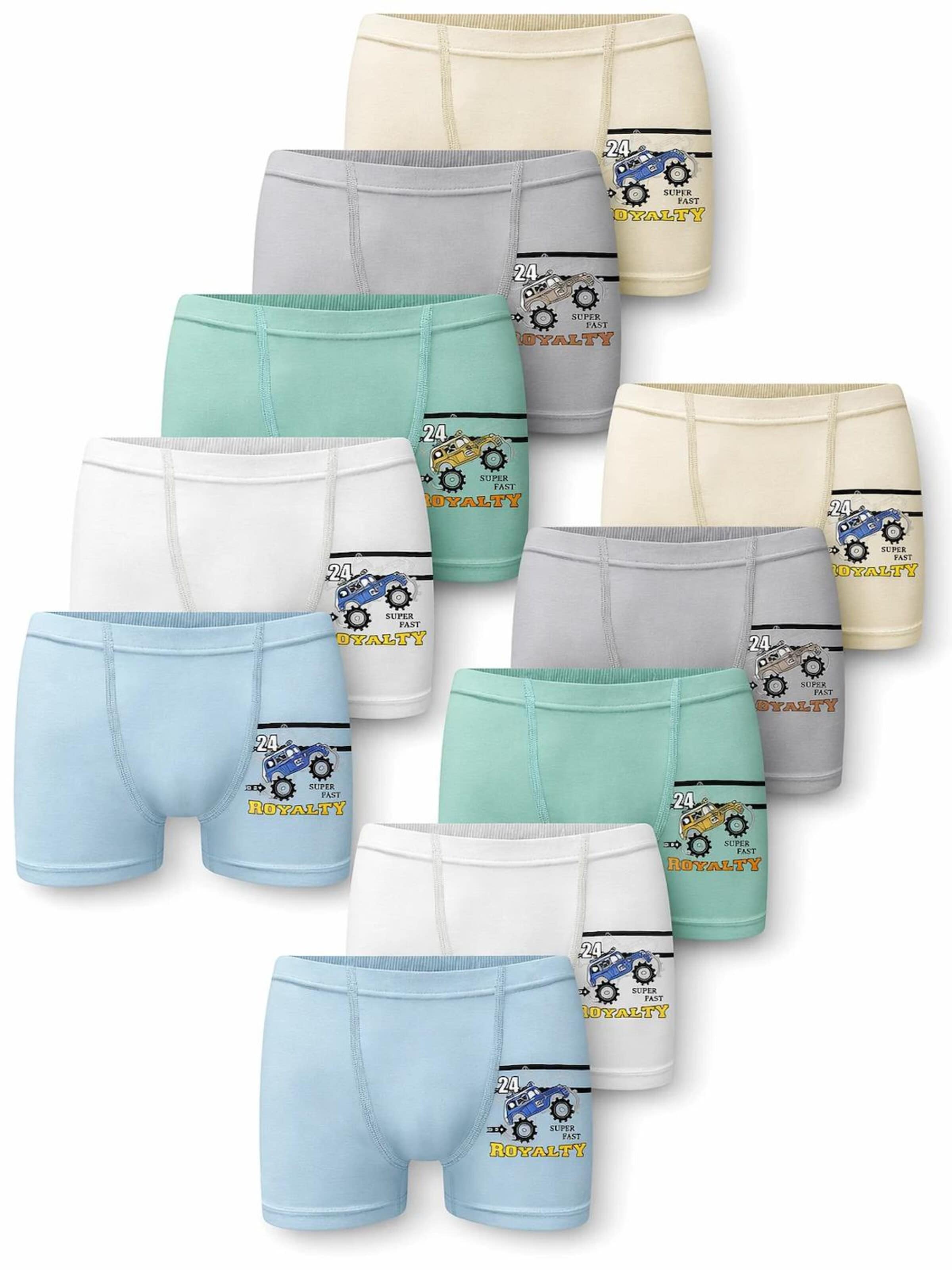 LOREZA Underpants 'Jungen Boxershorts Rallye' in Mixed colors: front