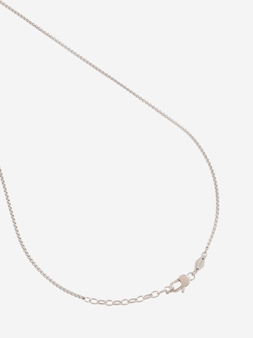 FOSSIL Necklace in Silver