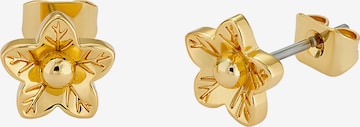Ted Baker Earrings 'WILDIE' in Gold