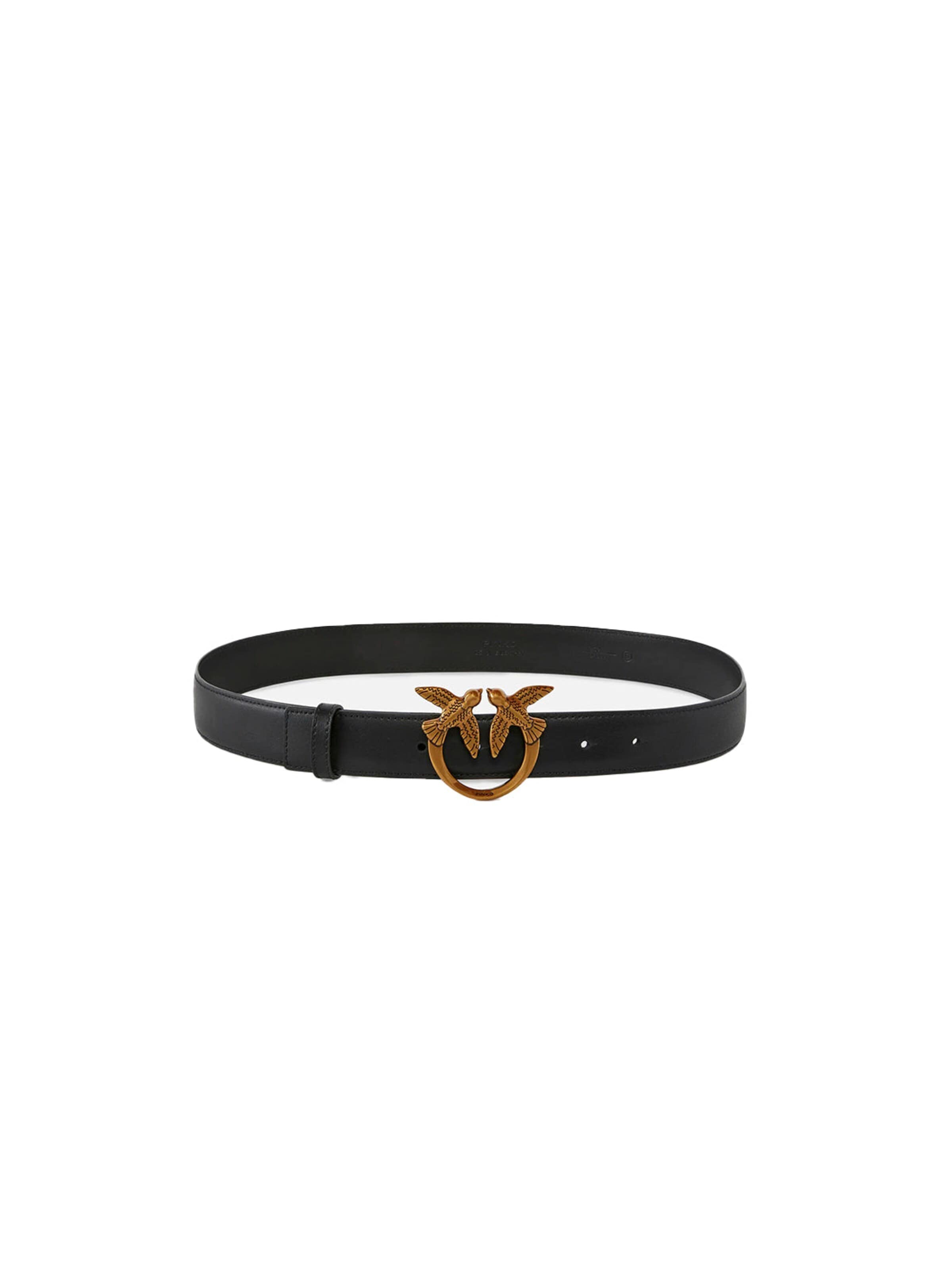 PINKO Riem '100125 A0F1 PE26 - CINTURA - PINKO' in Zwart: voorkant