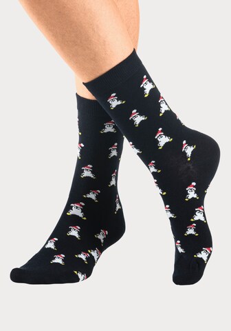 H.I.S Socken in Schwarz: Vorderseite