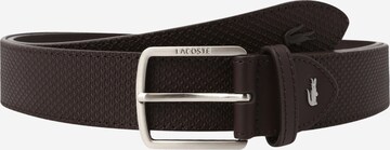 Cintura di LACOSTE in marrone: frontale