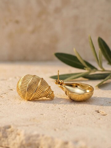 Nemomatheo Ohrringe 'Golden Shell'‌‌‌‌ in Gold