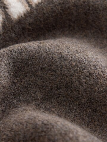Next Trui in Bruin
