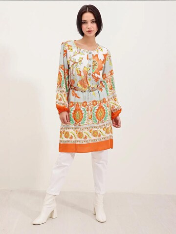 Bigdart Dress in Orange