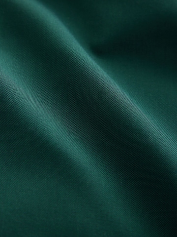 Next Regular fit Overhemd in Groen