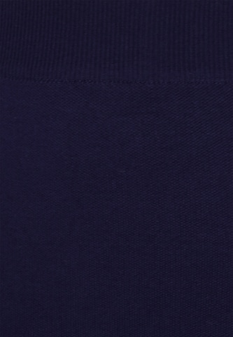 faina Skirt in Blue