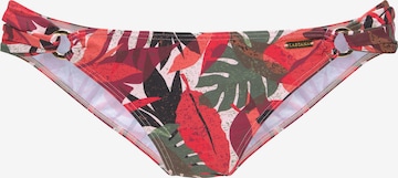 LASCANA Bikini Bottoms in Mixed colors: front