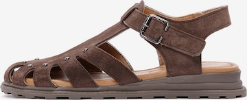 Sandalo di Derimod in marrone: frontale