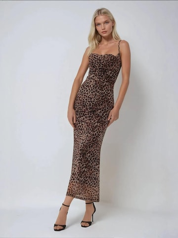 Hiccup Dress in Brown