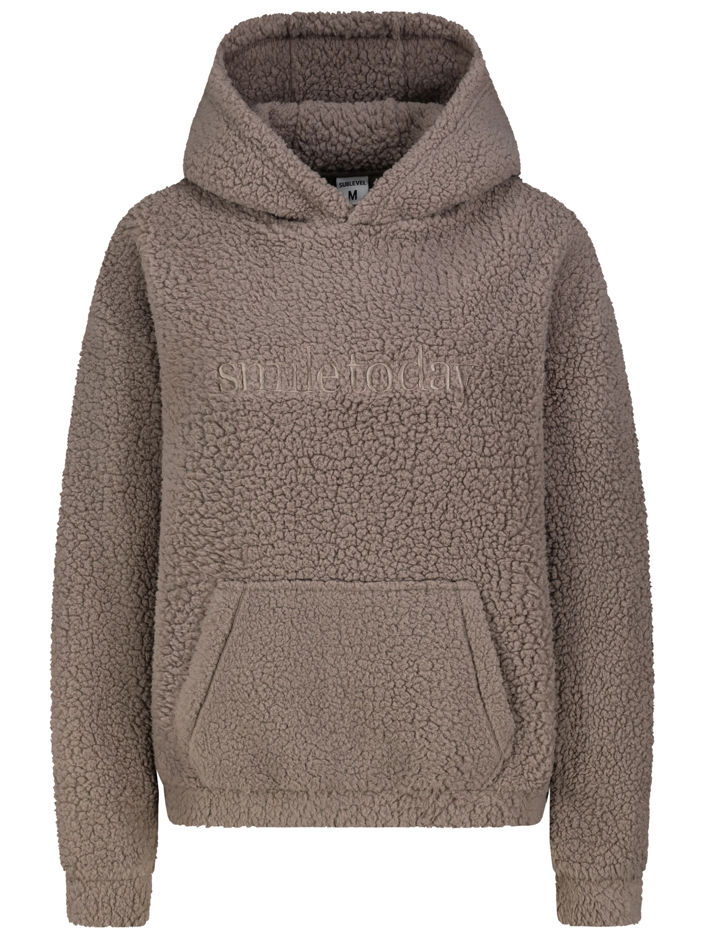 Sublevel Sweatshirt in Grau: Vorderseite
