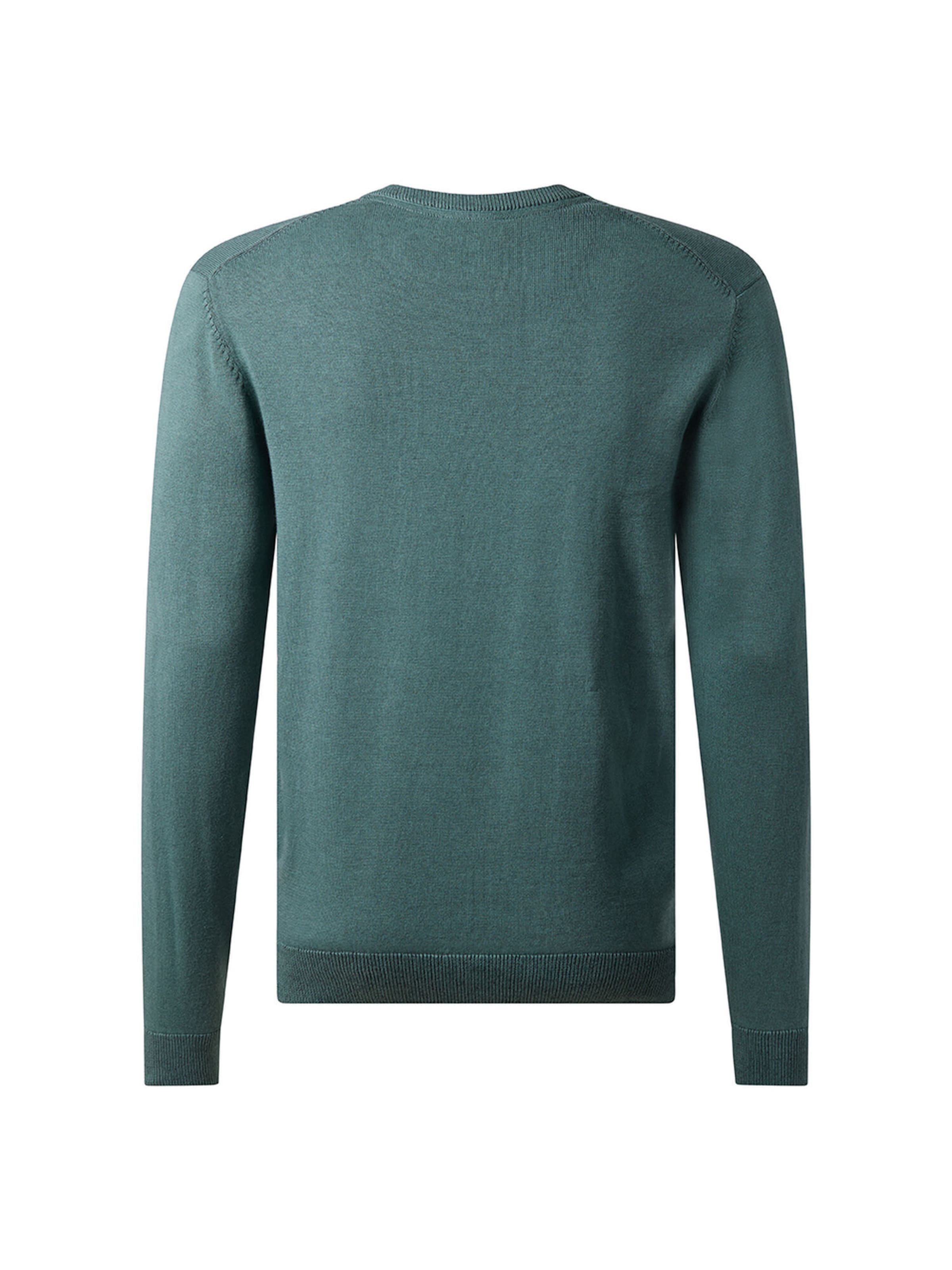 PIERRE CARDIN Trui in Groen