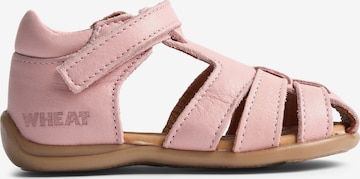 Chaussures ouvertes 'Robbie' WHEAT en rose : devant