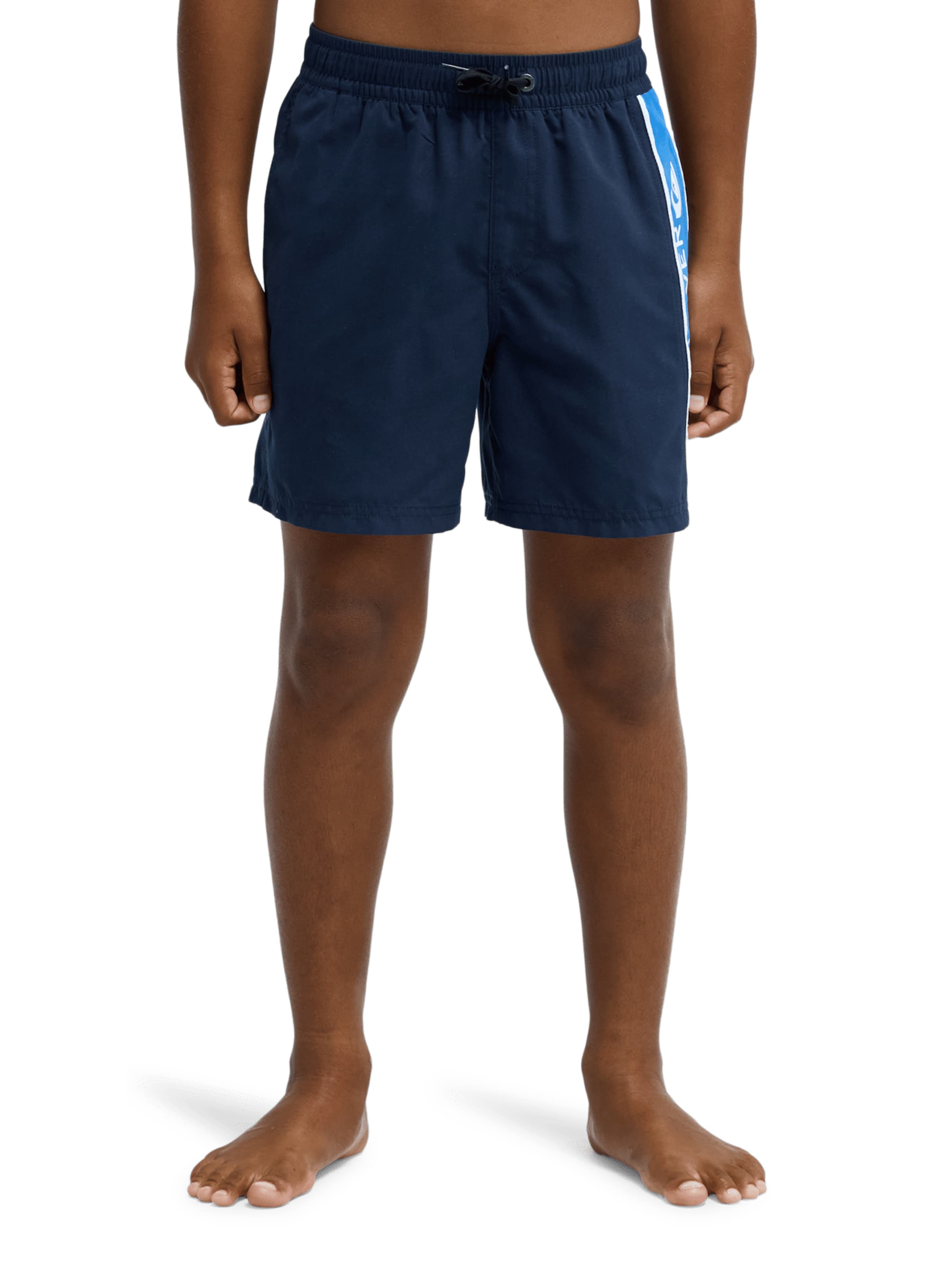 QUIKSILVER Board Shorts 'Everyday Clicker Volley' in Blue: front