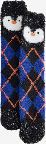Chaussettes Next en bleu : devant