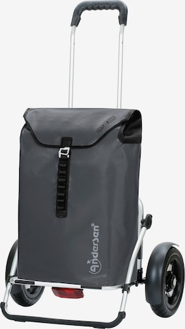 Andersen Shopper Trolley 'Royal' in Grijs: voorkant