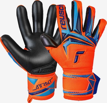 REUSCH Sports gloves 'Attrakt Infinity Evolution NC' in Blue: front