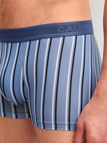 Boxer 'Grafic Cotton' di CALIDA in blu