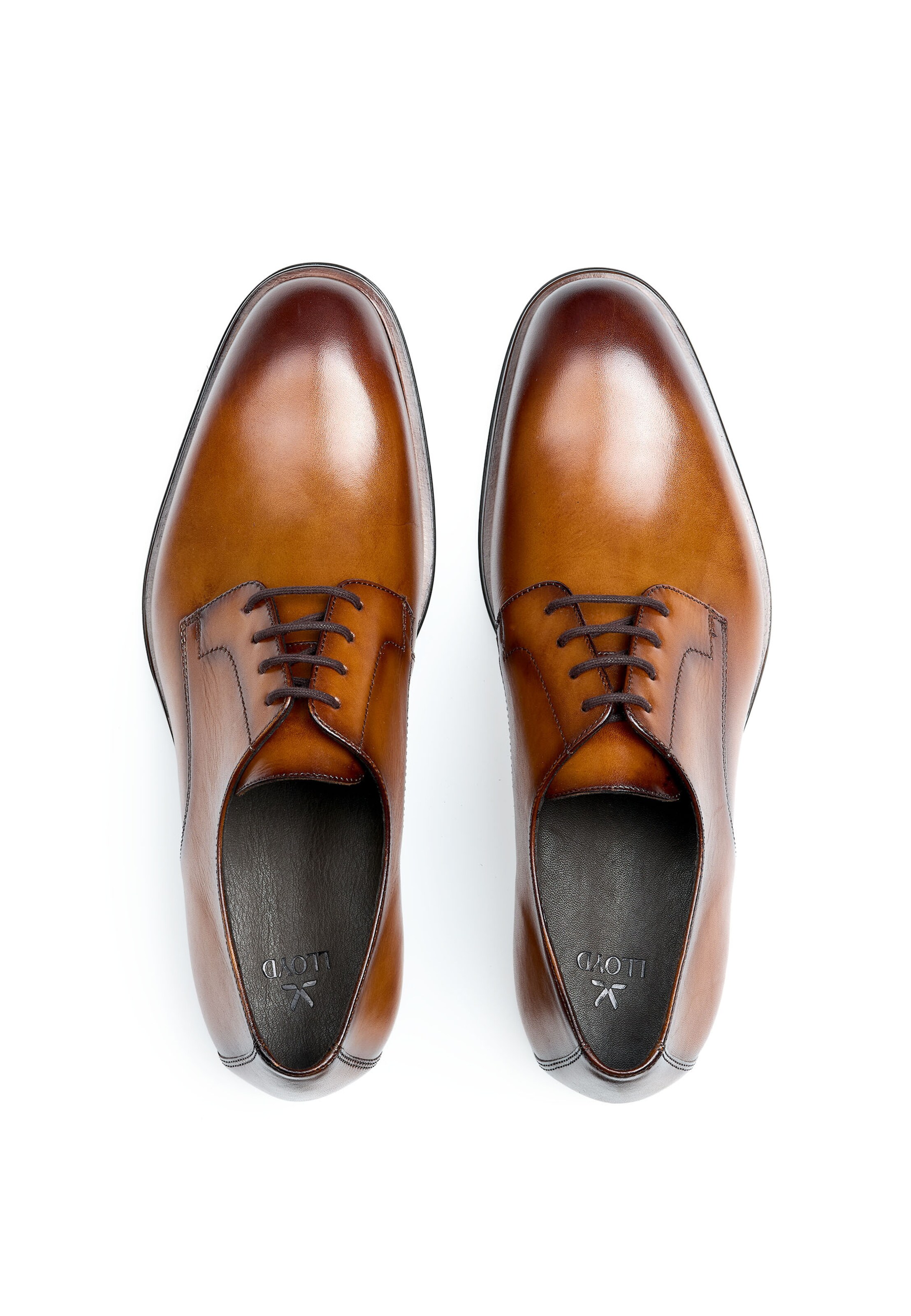 LLOYD Lace-Up Shoes in Brown