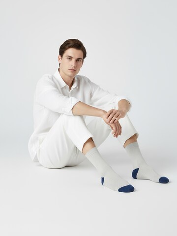 The Arctic Bay - Calcetines 'ARCTIC WEEK EDITION 7 Pack Unisex' en Mezcla de colores