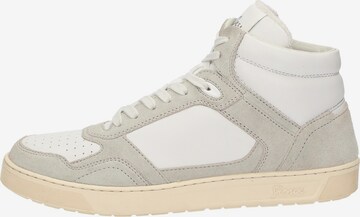 SIOUX High-Top Sneakers 'Tedroso-705' in Grey