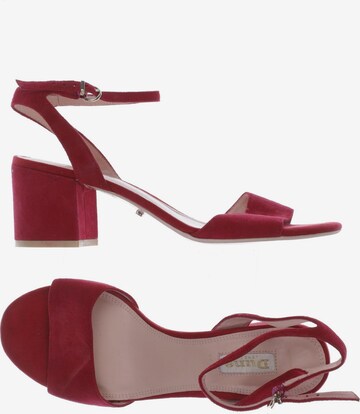 Dune LONDON Sandals & High-Heeled Sandals in 39 in Red: front