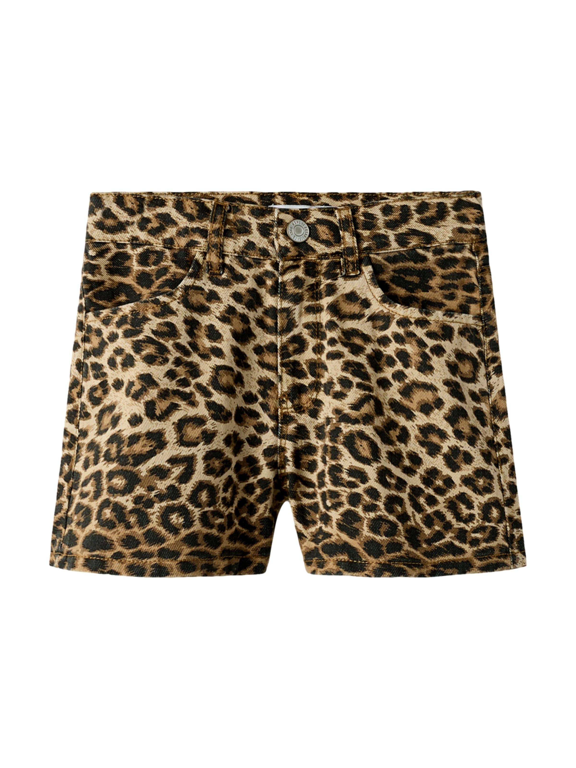 NAME IT regular Παντελόνι 'NKFRose' σε καφέ: μπροστά