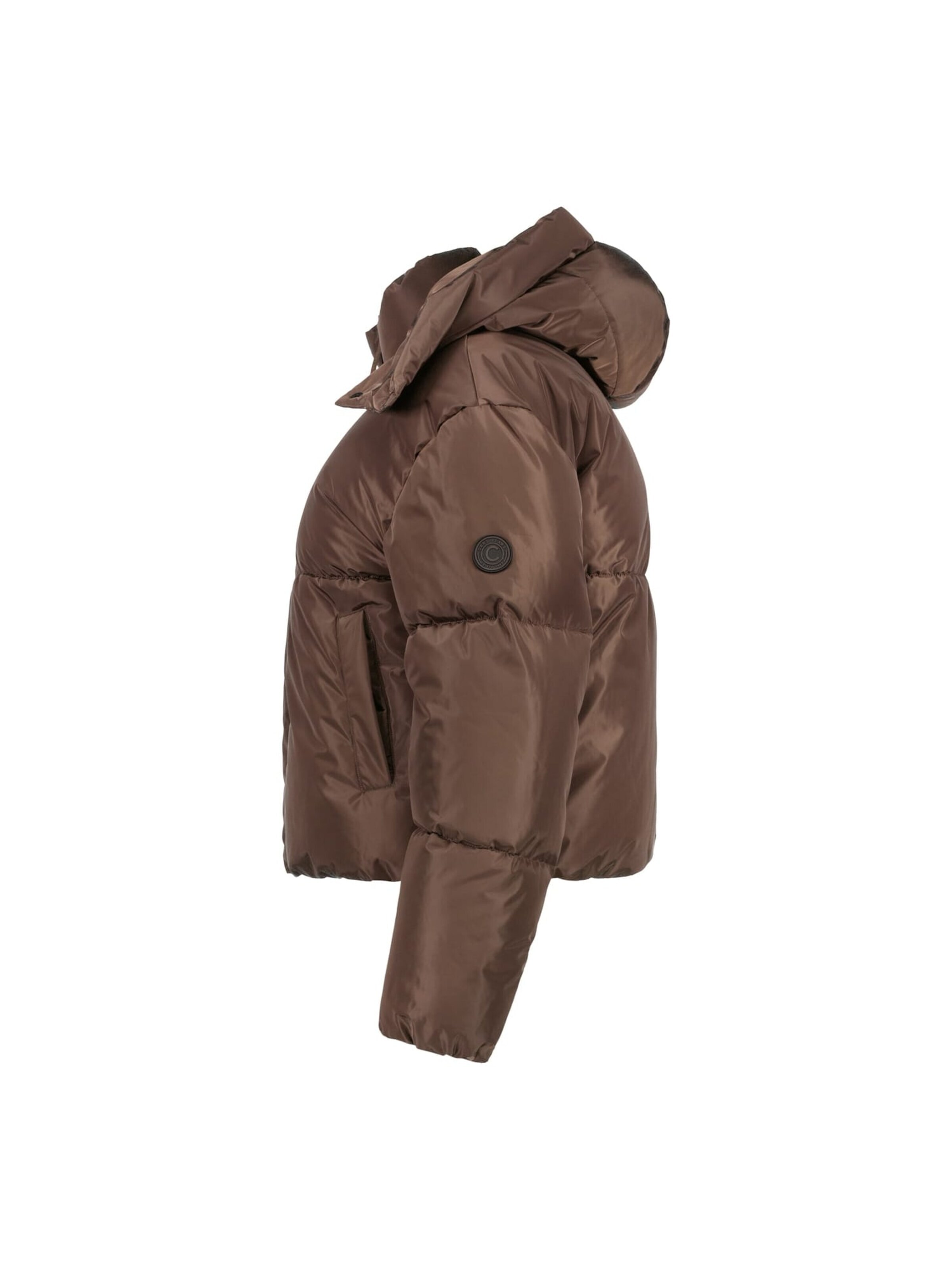 CARS Winter jacket in Brown