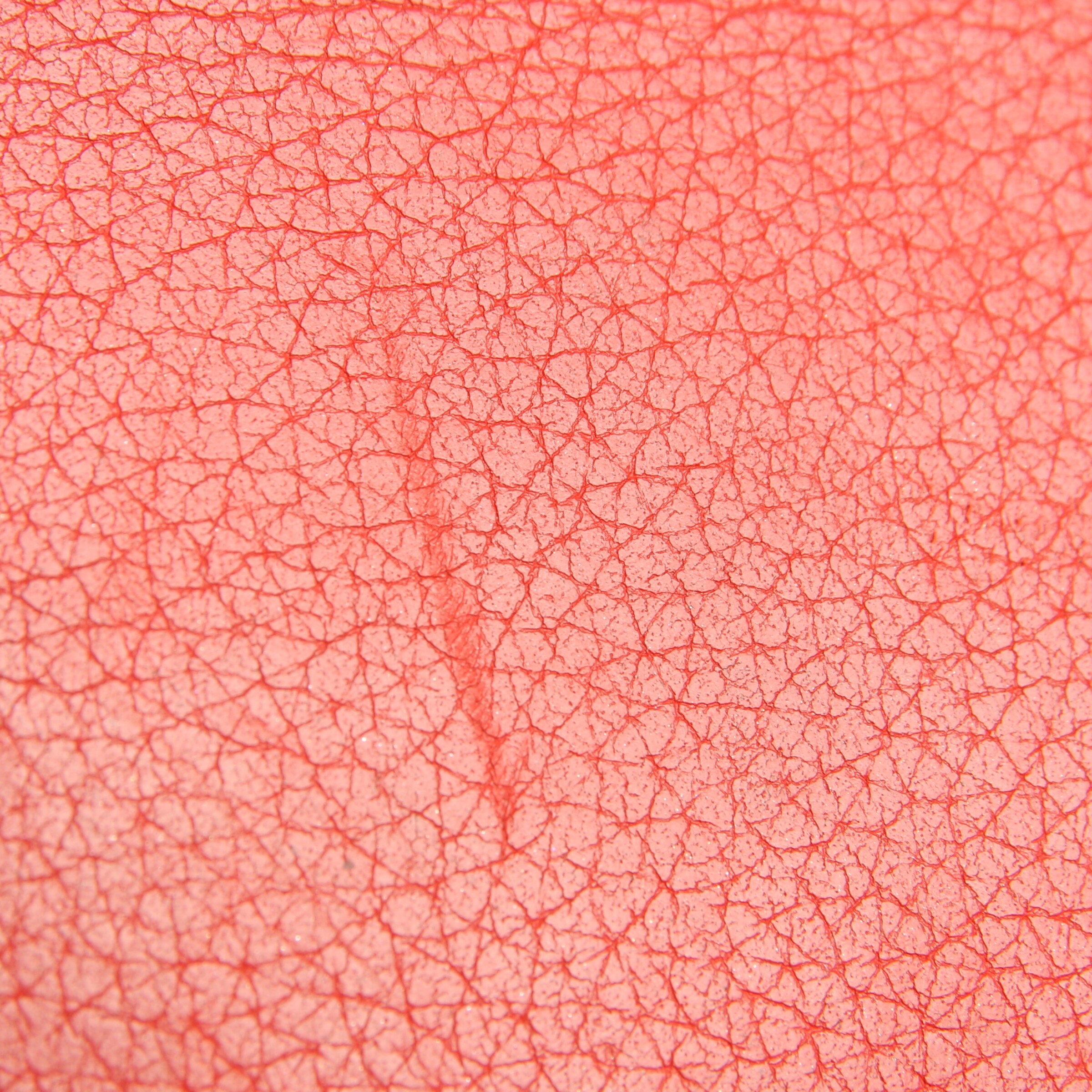 Céline Geldbörse / Etui One Size in Orange