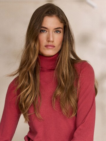 Next Pullover 'N-Premium' in Rot