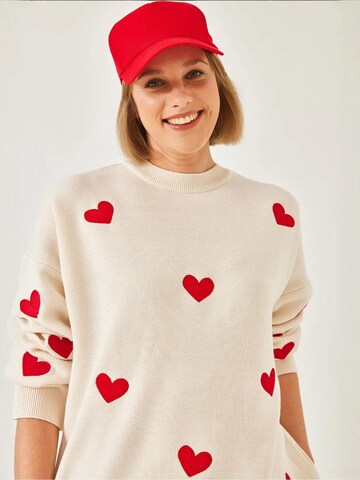 Bianco LucciPulover 'Pullover' - miks boja boja