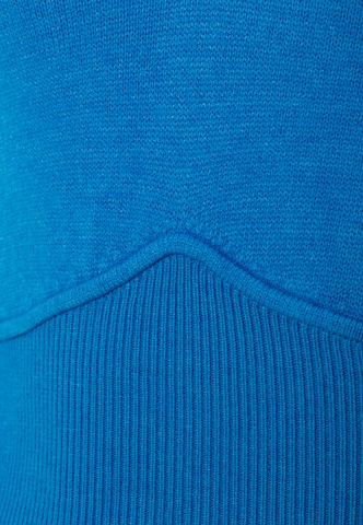 CIPO & BAXX Pullover in Blau