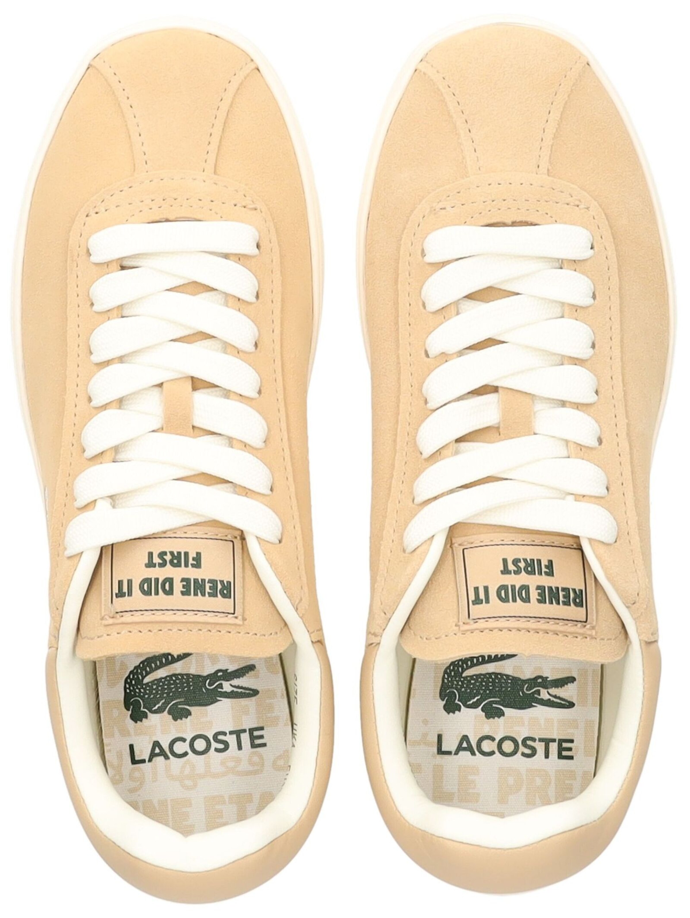 Baskets basses LACOSTE en marron