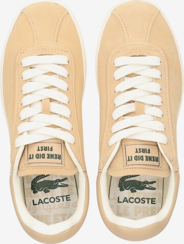 LACOSTE Sneakers in Brown