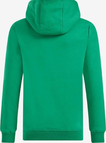 WE Fashion Sweatshirt in Groen