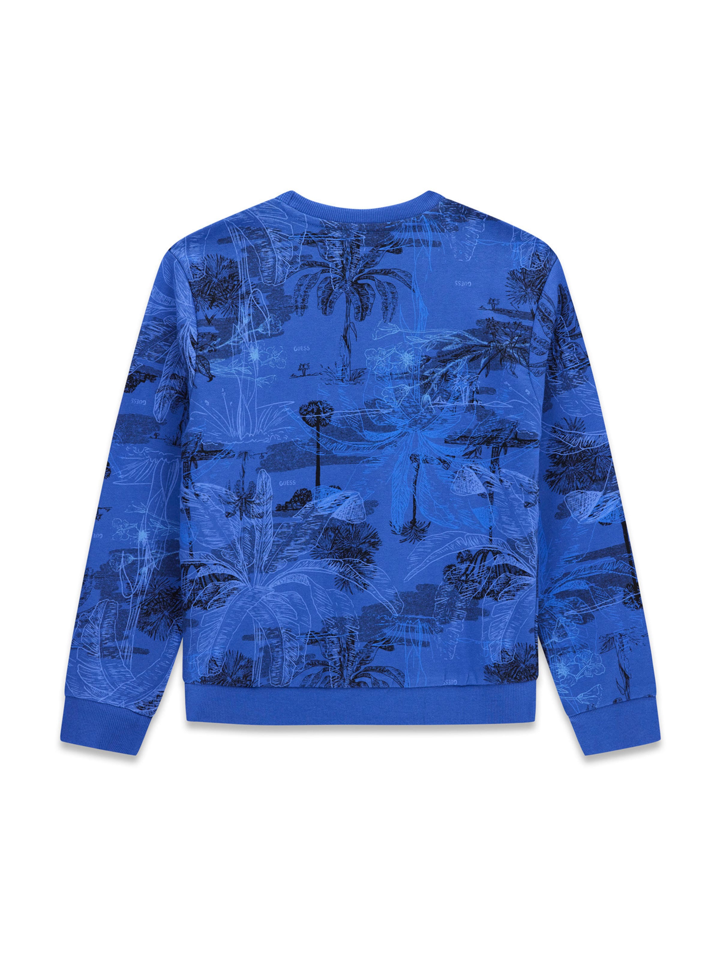 GUESS Sweatshirt in Blue