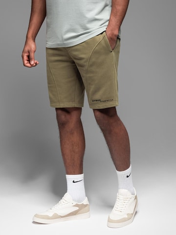 Slimfit Pantaloni sportivi di Ombre in verde