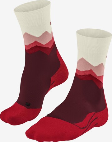 FALKE Athletic Socks 'TK2 Explore' in Red: front