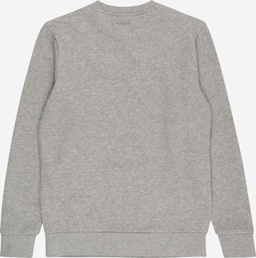 Champion Authentic Athletic Apparel Sweatshirt i grå