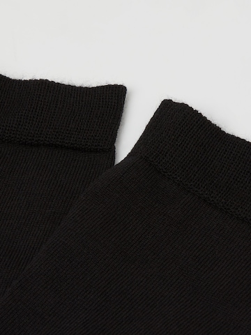 CALZEDONIA Socks in Black