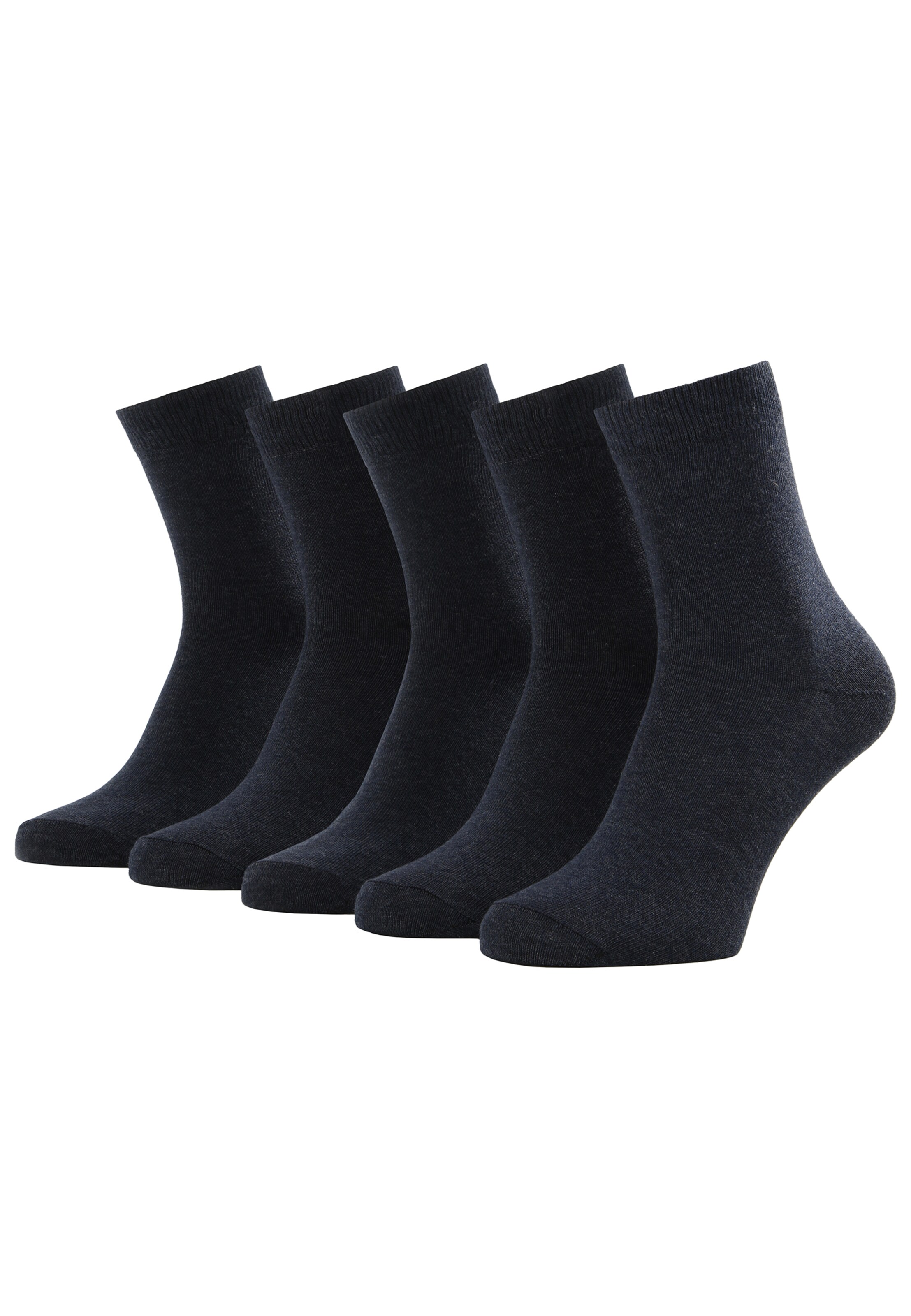 Albert Schäfer Socken in Blau: Vorderseite