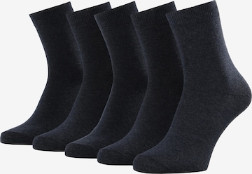 Albert Schäfer Socken in Blau: Vorderseite