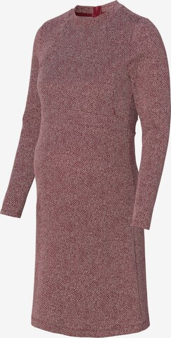 Esprit Maternity Knitted dress in Red: front