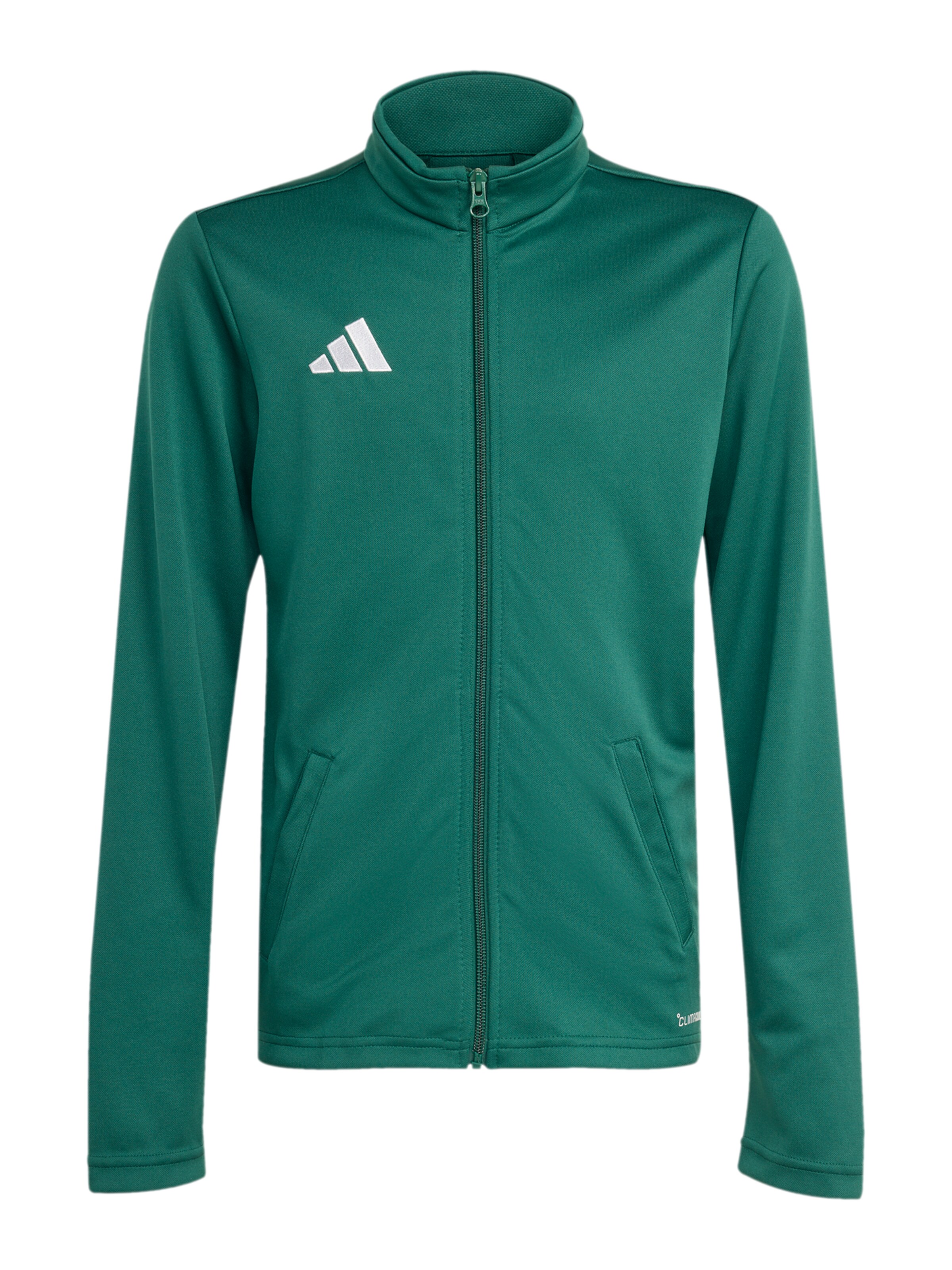 ADIDAS PERFORMANCE Sportssweatjakke 'ENT26' i grøn: forside