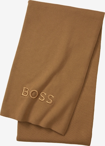 BOSS Home Blankets in Brown: front