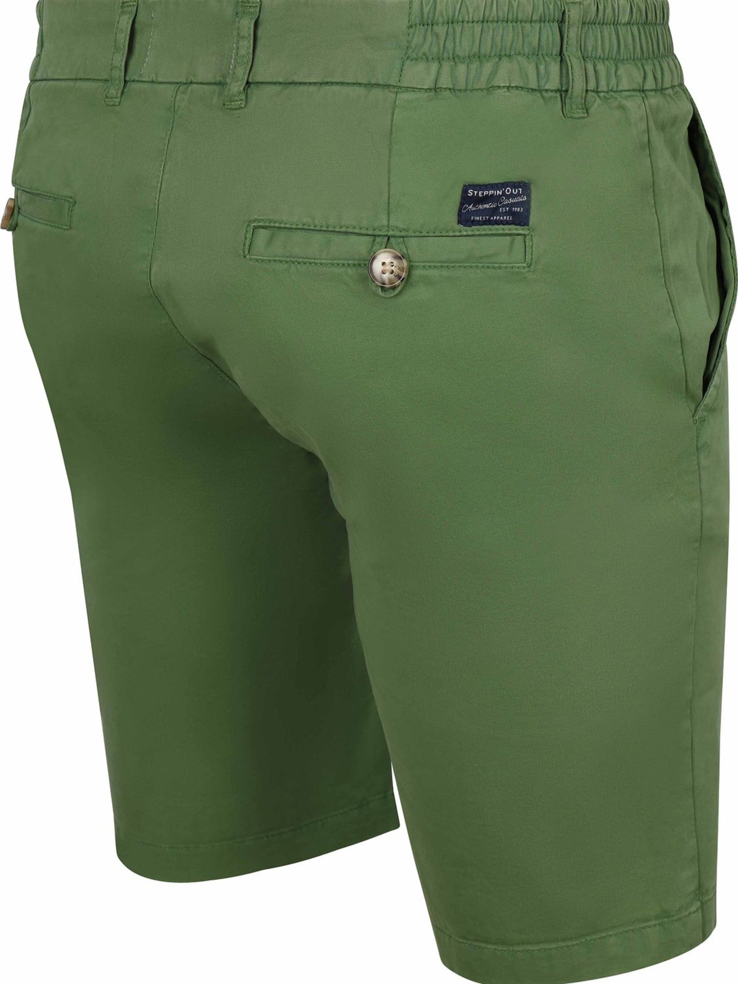 Steppin' out Regular Broek in Groen